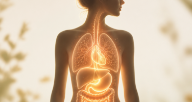 thyroid optimization